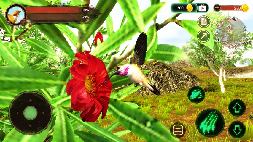 The Hummingbird screenshot