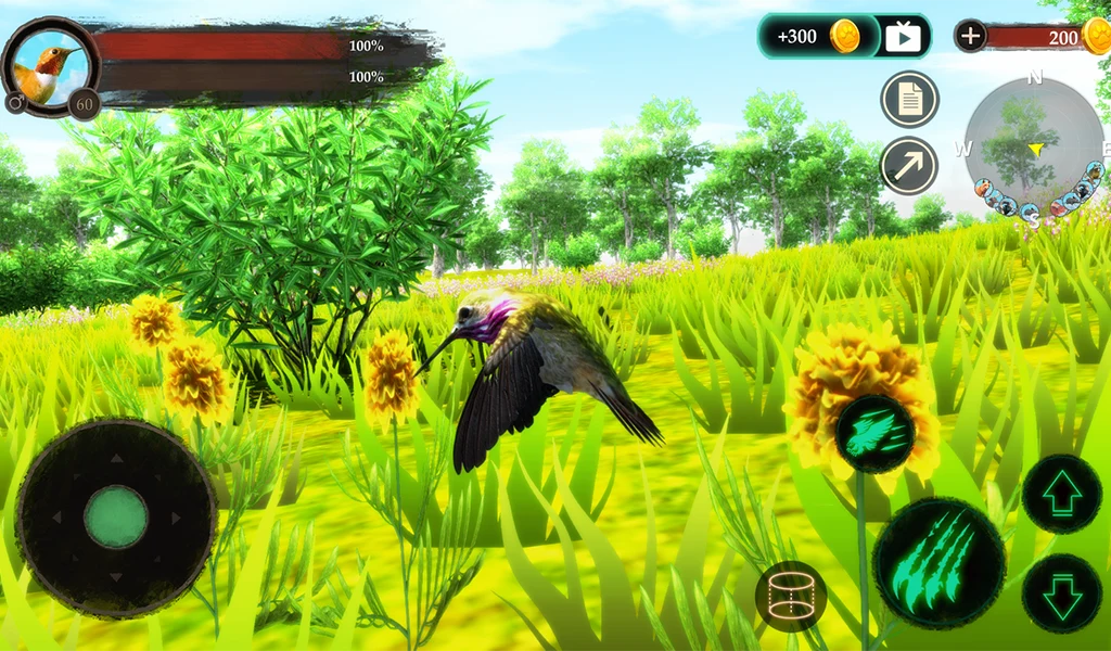 The Hummingbird screenshot
