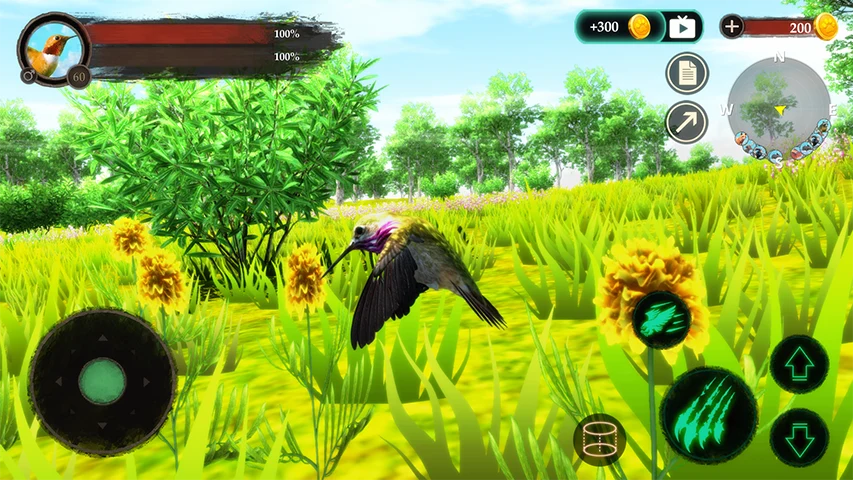 The Hummingbird screenshot