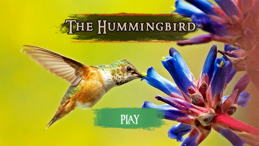 The Hummingbird screenshot