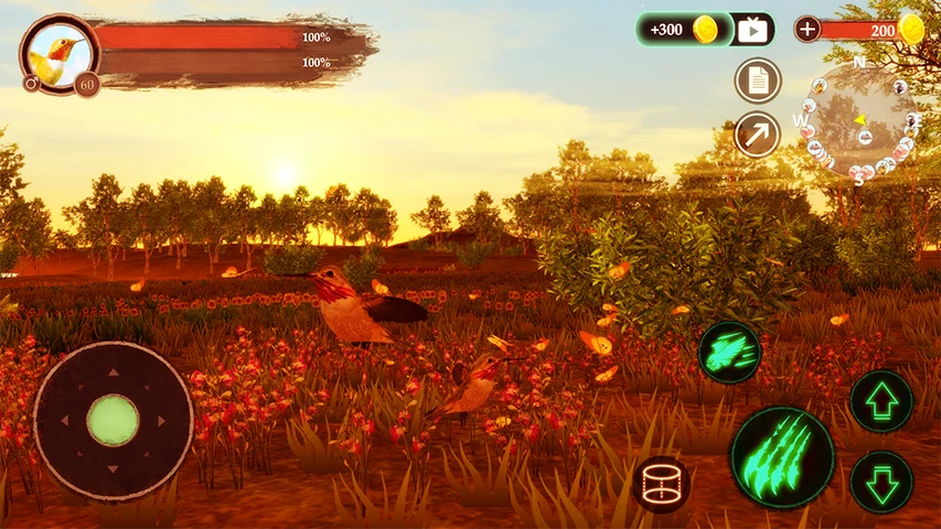 The Hummingbird screenshot