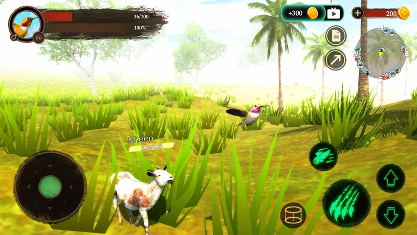 The Hummingbird screenshot