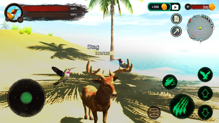 The Hummingbird screenshot