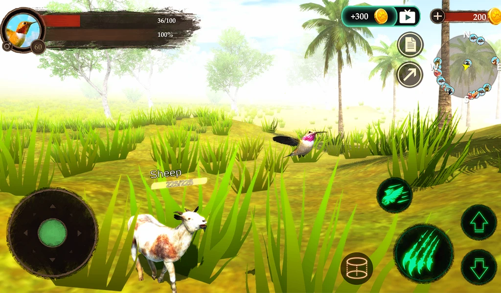 The Hummingbird screenshot