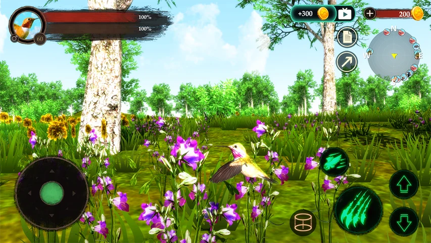 The Hummingbird screenshot