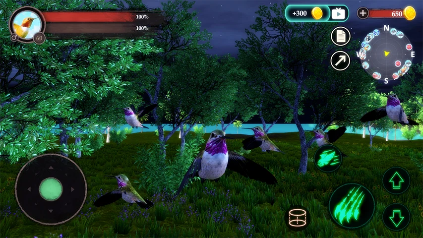 The Hummingbird screenshot