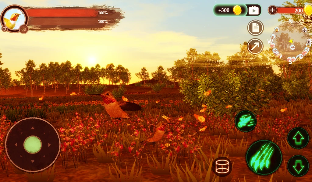 The Hummingbird screenshot