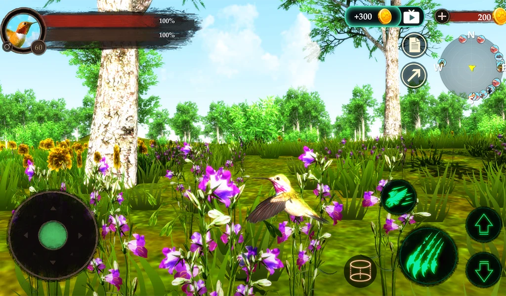 The Hummingbird screenshot